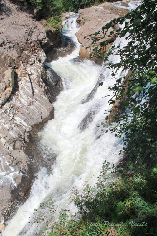 Pensiunea Cascada Putnei Lepşa Exterior foto